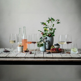 Набор бокалов для вин Light & Fresh, объем 363 мл, 2 шт., серия Vivid Senses, ZWIESEL GLAS - фото в интернет-магазине Kupiwoll